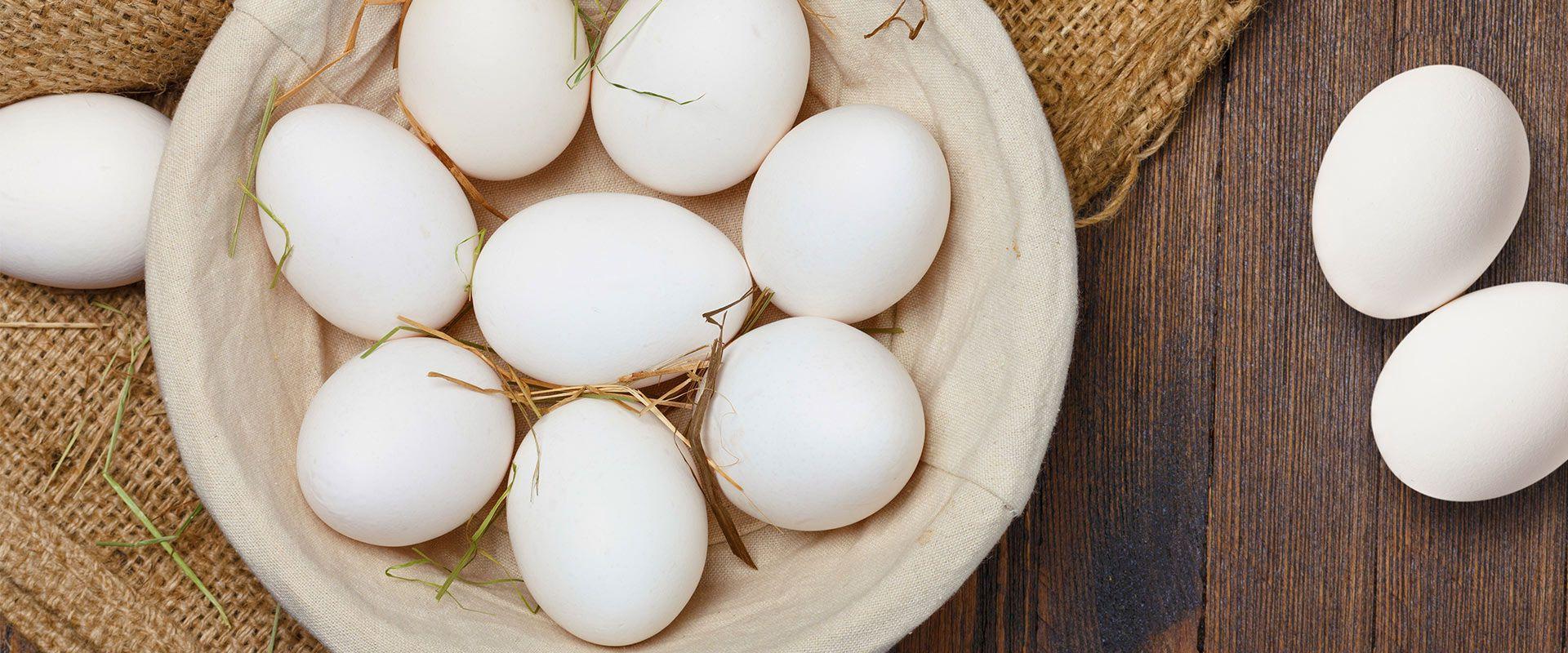 Learn about the benefits of nutritious eggs